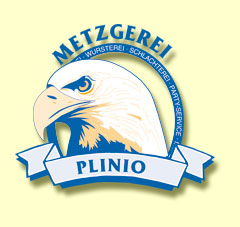Pilino AG Logo