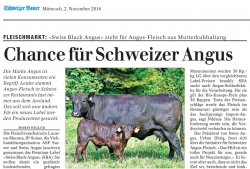 Aus der Presse: Chance für Schweizer Angus